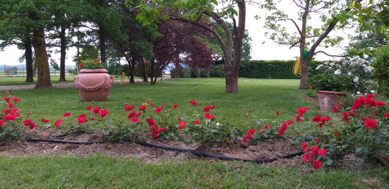 B&B Civico 58 Panocchia Zewnętrze zdjęcie